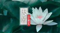 【二十四节气灸】大暑节气，健脾祛湿的最佳节气！