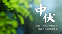 【三伏养生】至热中伏，吃三样，喝三样，三大禁忌千万别犯，小心落下病根！