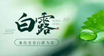 【二十四节气灸】白露凉爽，养心肝脾胃、滋阴润肺是关键！