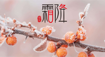 【二十四节气灸】补冬不如补霜降，艾灸这四穴，护肠胃，过暖冬！