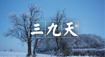 【三九养生】冬三九，三九第三灸，一年中最后艾灸黄金9天！
