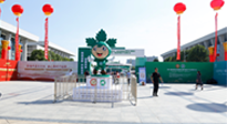 【行业资讯】第六届中国艾产业发展大会5月12日至14日在南阳市举办！