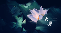 【二十四节气灸】趁大暑好好艾灸，才不辜负三伏天的骄阳！