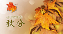 【二十四节气灸】秋分节气，平衡阴阳，巧用艾灸，润燥养肺是关键！