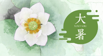 【二十四节气灸】大暑节气：记得艾灸，趁暑化湿解冬病！