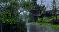【艾灸知识】多雨的日子里，艾灸会不会加重湿气呢？