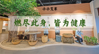【艾草知识】小小艾草，浑身是宝，一生燃尽此身，皆为健康！