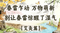 【二十四节气灸】春雷惊醒湿气！惊蛰艾灸3穴，疏肝祛湿养元气！