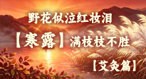 【二十四节气灸】寒露凝霜，阳气内敛：灸通足底四穴，润燥驱寒，安然度深秋！